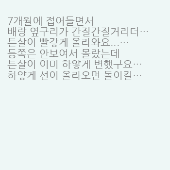 7개월에 접어들면서
배랑 옆구리가 간질간질거리더니
튼살이 빨갛게…